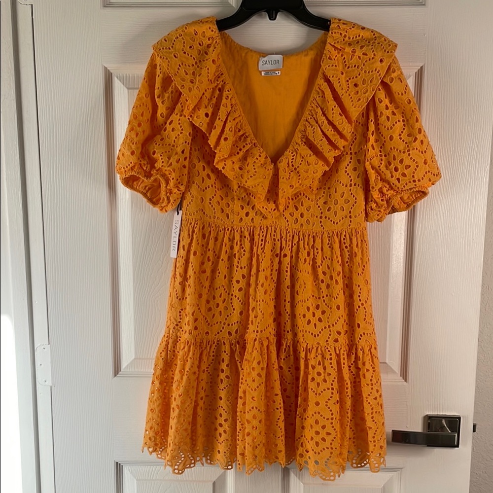 NWT Saylor Zerina lace short sleeve ruffle mini Dress